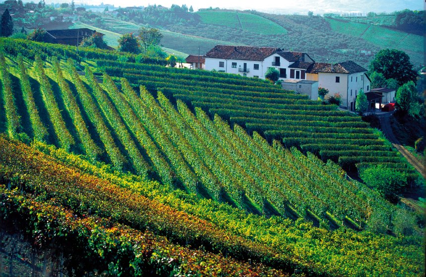 Piemonte – A origem de Itália e a influência francesa